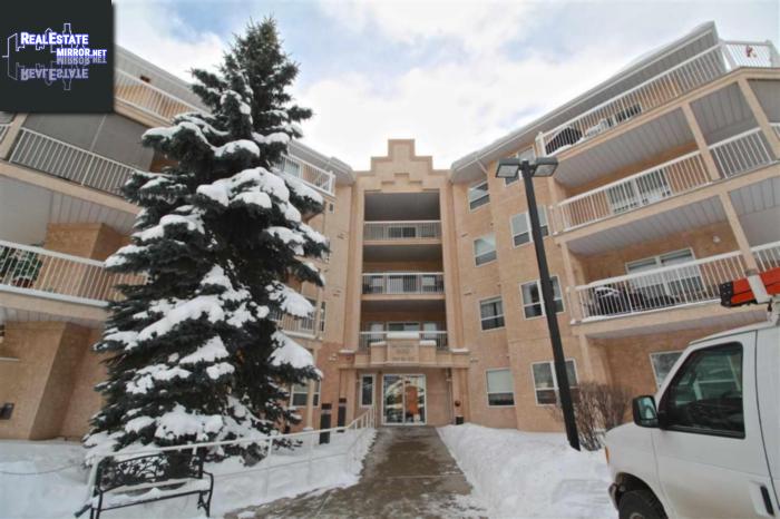 Property #205 17511 98a Av Nw main img